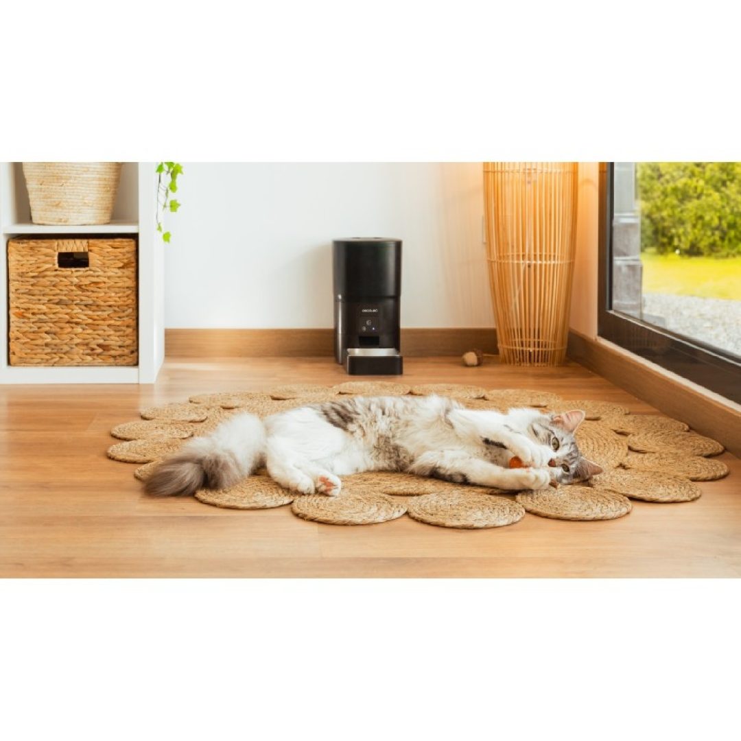 Futterautomat Pumba 6000 Purrfect Meal Smart