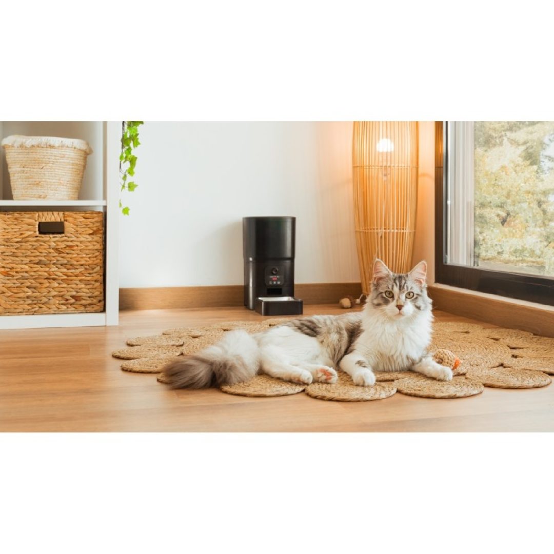 Futterautomat Pumba 6000 Purrfect Meal Smart Vision