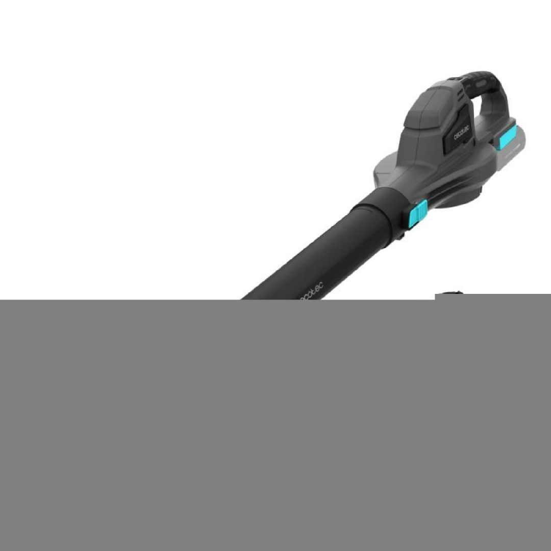 Laubgebläse AirForce 2500 Agile