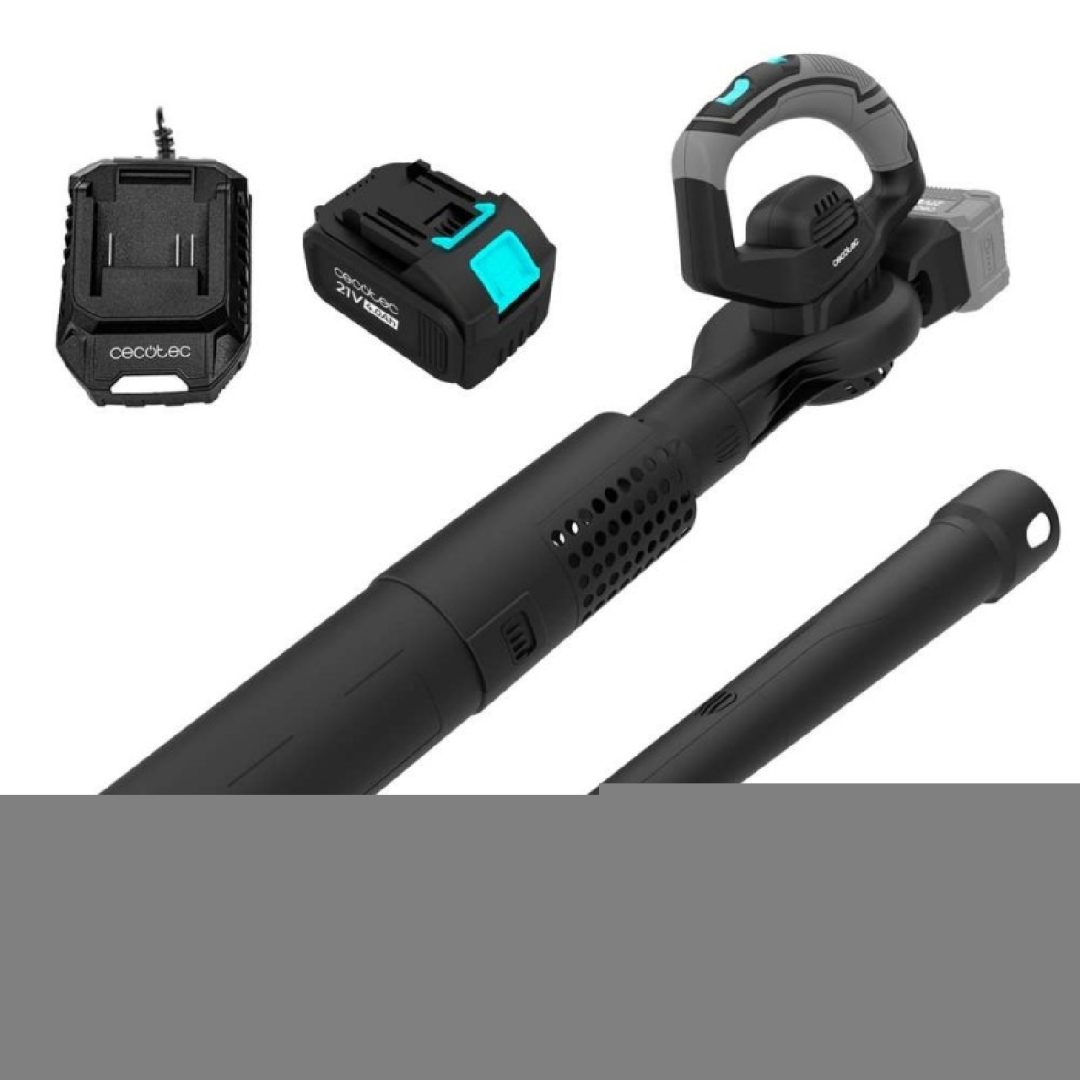 Soplador AirForce 2in1 MultiFunction